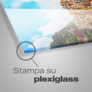 Quadro in Plexiglass e Led Paperone Vui**n